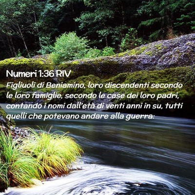 Picture 02 - Numeri 1:36 RIV - Figliuoli di Beniamino, loro discendenti secondo - Bible Verse Picture