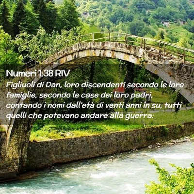 Picture 02 - Numeri 1:38 RIV - Figliuoli di Dan, loro discendenti secondo le - Bible Verse Picture