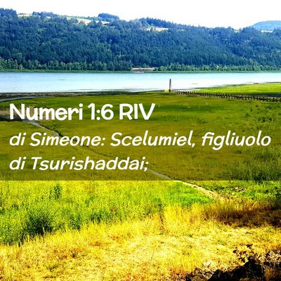 Picture 02 - Numeri 1:6 RIV - di Simeone: Scelumiel, figliuolo di - Bible Verse Picture