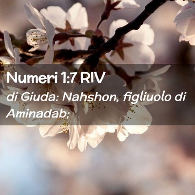 Picture 02 - Numeri 1:7 RIV - di Giuda: Nahshon, figliuolo di - Bible Verse Picture