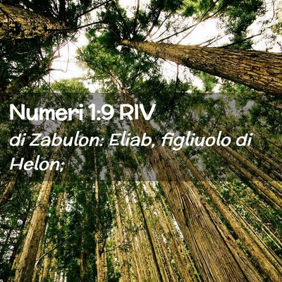 Picture 02 - Numeri 1:9 RIV - di Zabulon: Eliab, figliuolo di - Bible Verse Picture