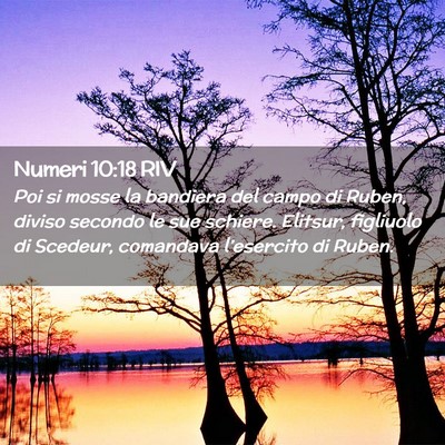 Picture 02 - Numeri 10:18 RIV - Poi si mosse la bandiera del campo di Ruben, - Bible Verse Picture