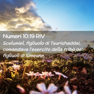Picture 02 - Numeri 10:19 RIV - Scelumiel, figliuolo di Tsurishaddai, comandava - Bible Verse Picture