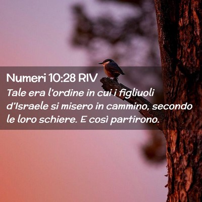 Picture 02 - Numeri 10:28 RIV - Tale era l’ordine in cui i figliuoli - Bible Verse Picture
