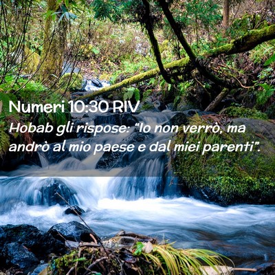 Picture 02 - Numeri 10:30 RIV - Hobab gli rispose: “Io non verrò, ma andrò al - Bible Verse Picture