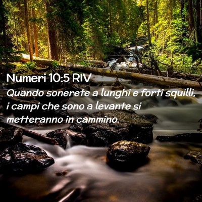 Picture 02 - Numeri 10:5 RIV - Quando sonerete a lunghi e forti squilli, i campi - Bible Verse Picture