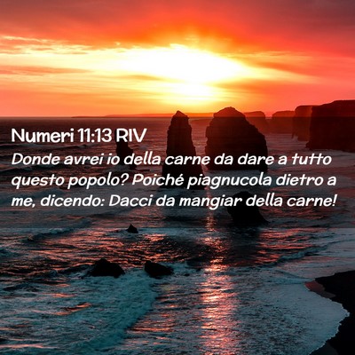 Picture 02 - Numeri 11:13 RIV - Donde avrei io della carne da dare a tutto questo - Bible Verse Picture