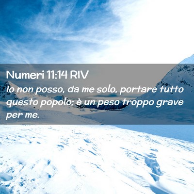 Picture 02 - Numeri 11:14 RIV - Io non posso, da me solo, portare tutto questo - Bible Verse Picture