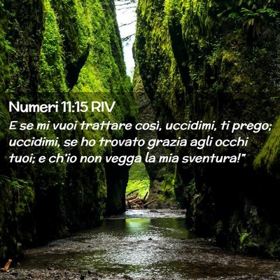 Picture 02 - Numeri 11:15 RIV - E se mi vuoi trattare così, uccidimi, ti prego; - Bible Verse Picture
