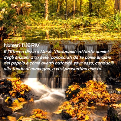 Picture 02 - Numeri 11:16 RIV - E l’Eterno disse a Mosè: “Radunami settanta - Bible Verse Picture