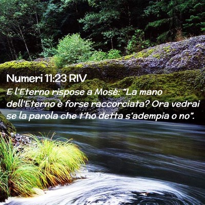 Picture 02 - Numeri 11:23 RIV - E l’Eterno rispose a Mosè: “La mano - Bible Verse Picture