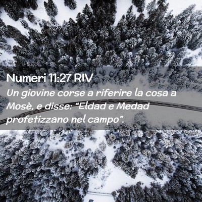 Picture 02 - Numeri 11:27 RIV - Un giovine corse a riferire la cosa a Mosè, e - Bible Verse Picture