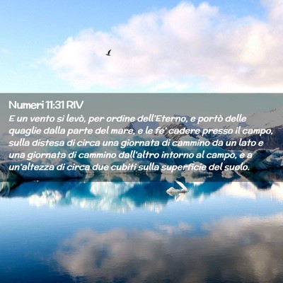 Picture 02 - Numeri 11:31 RIV - E un vento si levò, per ordine dell’Eterno, e - Bible Verse Picture
