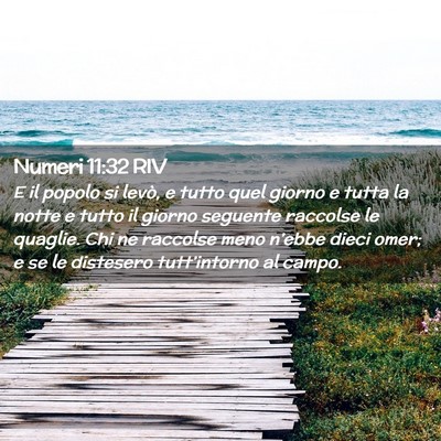 Picture 02 - Numeri 11:32 RIV - E il popolo si levò, e tutto quel giorno e tutta - Bible Verse Picture