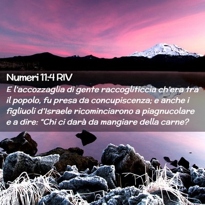 Picture 02 - Numeri 11:4 RIV - E l’accozzaglia di gente raccogliticcia - Bible Verse Picture