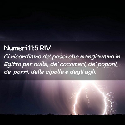Picture 02 - Numeri 11:5 RIV - Ci ricordiamo de’ pesci che mangiavamo in - Bible Verse Picture