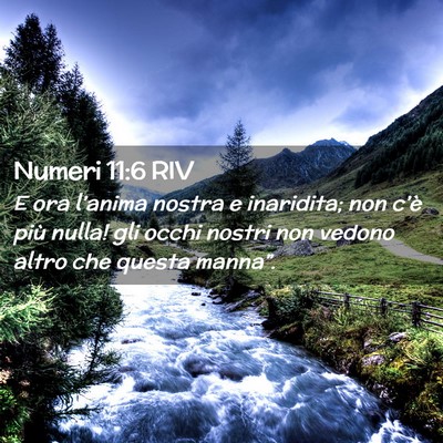 Picture 02 - Numeri 11:6 RIV - E ora l’anima nostra e inaridita; non c’è - Bible Verse Picture