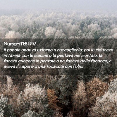 Picture 02 - Numeri 11:8 RIV - Il popolo andava attorno a raccoglierla; poi la - Bible Verse Picture