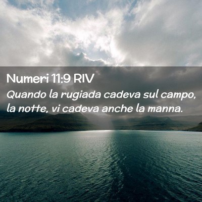Picture 02 - Numeri 11:9 RIV - Quando la rugiada cadeva sul campo, la notte, vi - Bible Verse Picture
