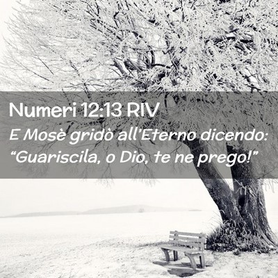 Picture 02 - Numeri 12:13 RIV - E Mosè gridò all’Eterno dicendo: - Bible Verse Picture