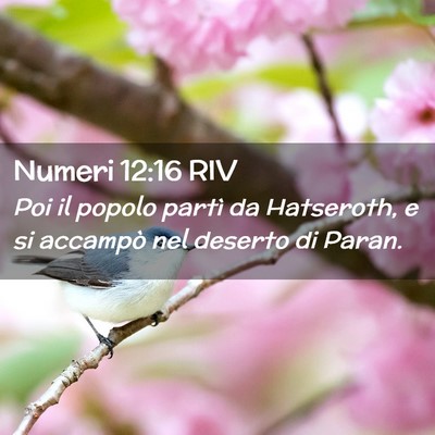 Picture 02 - Numeri 12:16 RIV - Poi il popolo partì da Hatseroth, e si accampò - Bible Verse Picture