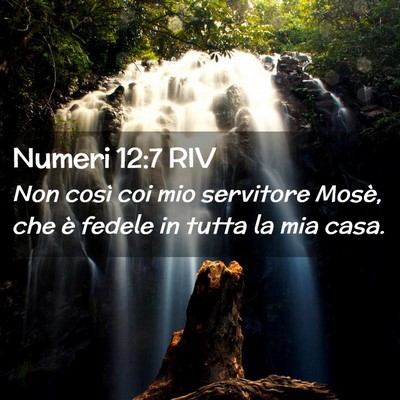 Picture 02 - Numeri 12:7 RIV - Non così coi mio servitore Mosè, che è fedele - Bible Verse Picture