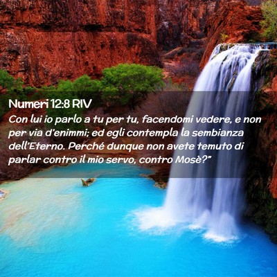 Picture 02 - Numeri 12:8 RIV - Con lui io parlo a tu per tu, facendomi vedere, e - Bible Verse Picture