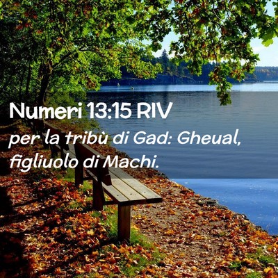 Picture 02 - Numeri 13:15 RIV - per la tribù di Gad: Gheual, figliuolo di - Bible Verse Picture