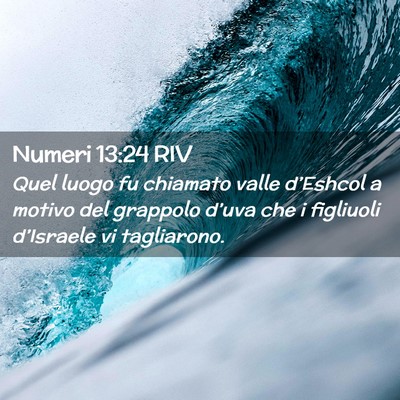 Picture 02 - Numeri 13:24 RIV - Quel luogo fu chiamato valle d’Eshcol a motivo - Bible Verse Picture