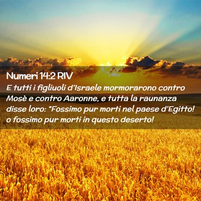 Picture 02 - Numeri 14:2 RIV - E tutti i figliuoli d’Israele mormorarono - Bible Verse Picture