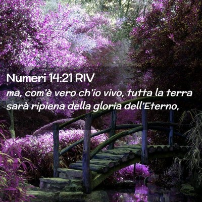 Picture 02 - Numeri 14:21 RIV - ma, com’è vero ch’io vivo, tutta la terra - Bible Verse Picture