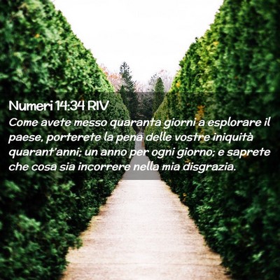 Picture 02 - Numeri 14:34 RIV - Come avete messo quaranta giorni a esplorare il - Bible Verse Picture