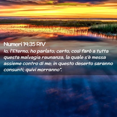 Picture 02 - Numeri 14:35 RIV - Io, l’Eterno, ho parlato; certo, così farò a - Bible Verse Picture