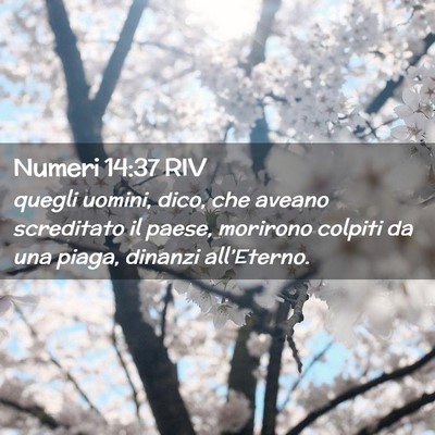 Picture 02 - Numeri 14:37 RIV - quegli uomini, dico, che aveano screditato il - Bible Verse Picture