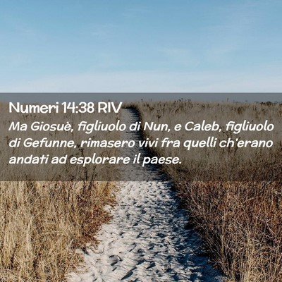 Picture 02 - Numeri 14:38 RIV - Ma Giosuè, figliuolo di Nun, e Caleb, figliuolo - Bible Verse Picture