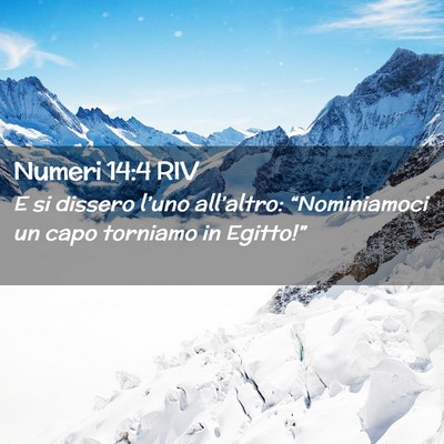 Picture 02 - Numeri 14:4 RIV - E si dissero l’uno all’altro: “Nominiamoci - Bible Verse Picture