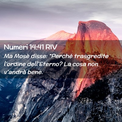 Picture 02 - Numeri 14:41 RIV - Ma Mosè disse: “Perché trasgredite l’ordine - Bible Verse Picture