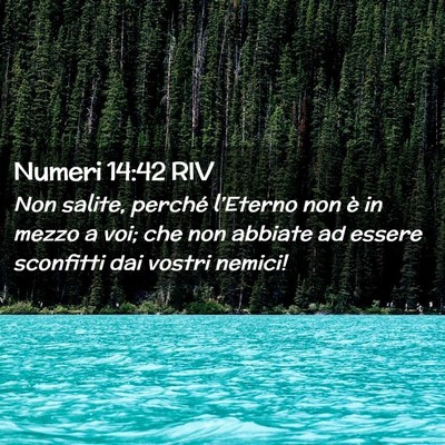 Picture 02 - Numeri 14:42 RIV - Non salite, perché l’Eterno non è in mezzo a - Bible Verse Picture