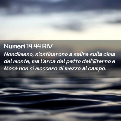 Picture 02 - Numeri 14:44 RIV - Nondimeno, s’ostinarono a salire sulla cima del - Bible Verse Picture