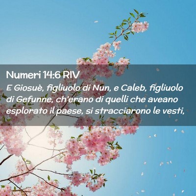 Picture 02 - Numeri 14:6 RIV - E Giosuè, figliuolo di Nun, e Caleb, figliuolo - Bible Verse Picture