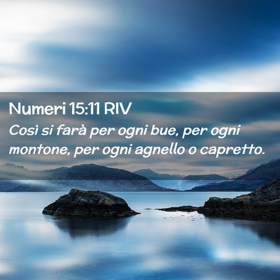 Picture 02 - Numeri 15:11 RIV - Così si farà per ogni bue, per ogni montone, - Bible Verse Picture