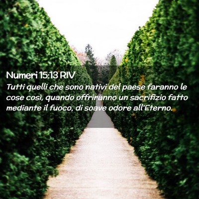 Picture 02 - Numeri 15:13 RIV - Tutti quelli che sono nativi del paese faranno le - Bible Verse Picture