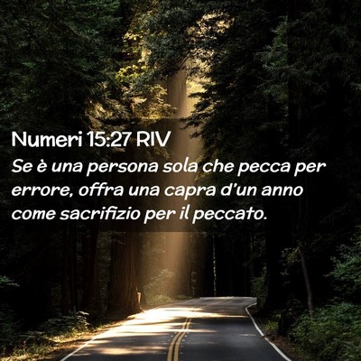 Picture 02 - Numeri 15:27 RIV - Se è una persona sola che pecca per errore, - Bible Verse Picture