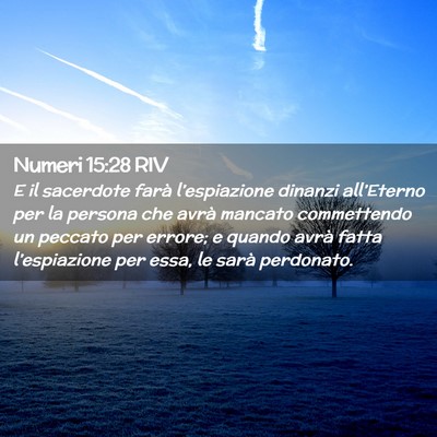 Picture 02 - Numeri 15:28 RIV - E il sacerdote farà l’espiazione dinanzi - Bible Verse Picture