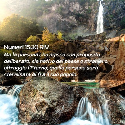 Picture 02 - Numeri 15:30 RIV - Ma la persona che agisce con proposito - Bible Verse Picture