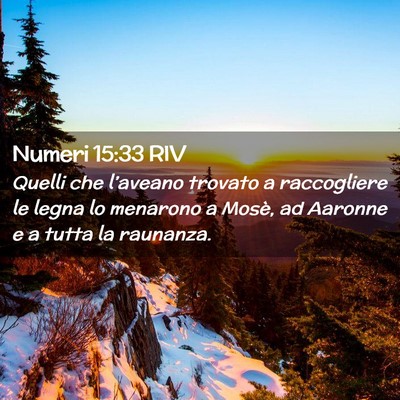 Picture 02 - Numeri 15:33 RIV - Quelli che l’aveano trovato a raccogliere le - Bible Verse Picture