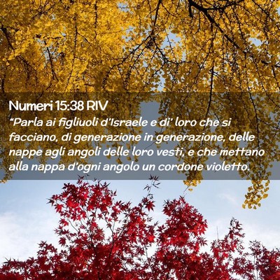 Picture 02 - Numeri 15:38 RIV - “Parla ai figliuoli d’Israele e di’ loro - Bible Verse Picture