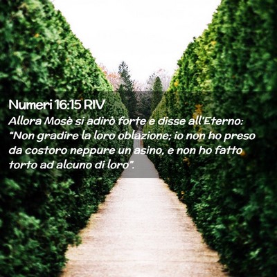 Picture 02 - Numeri 16:15 RIV - Allora Mosè si adirò forte e disse - Bible Verse Picture