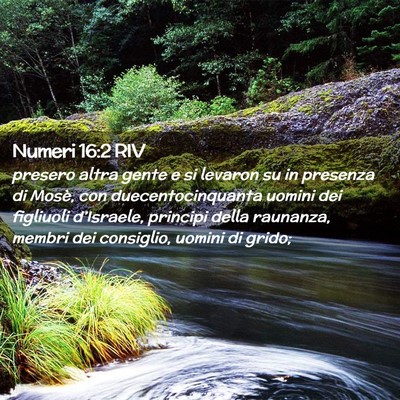 Picture 02 - Numeri 16:2 RIV - presero altra gente e si levaron su in presenza - Bible Verse Picture