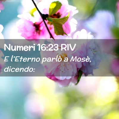 Picture 02 - Numeri 16:23 RIV - E l’Eterno parlò a Mosè, - Bible Verse Picture